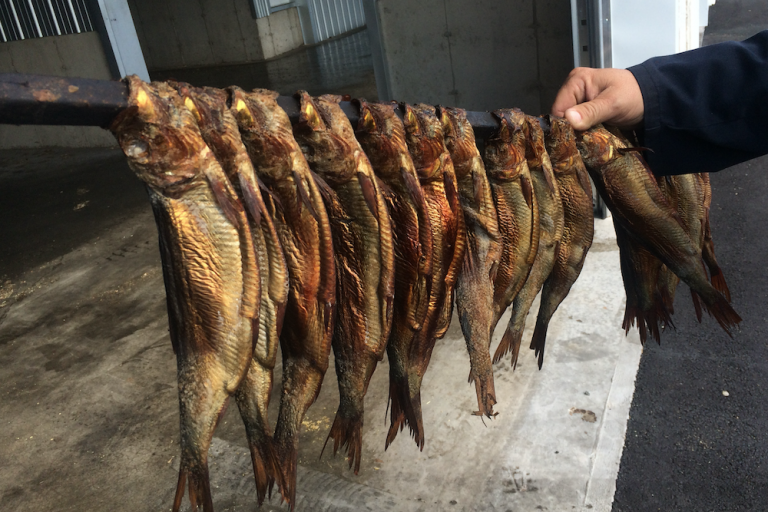 smoked herring